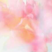 あいり 次回出勤日お知らせ⋆͛📢⋆ ナメすぎサークル立川店