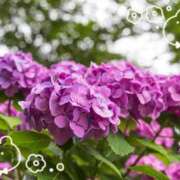 ヒメ日記 2025/06/24 17:22 投稿 つゆり 池袋あられ