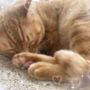 つゆり つゆりです！ 池袋あられ