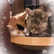 つゆり つゆりです♡ 池袋あられ