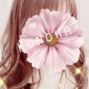 ヒメ日記 2025/12/13 11:36 投稿 このは One More奥様　横浜関内店