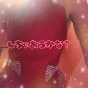 ヒメ日記 2025/07/23 19:07 投稿 スミレ ドMな奥様 名古屋・錦店