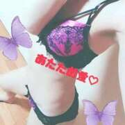 ヒメ日記 2025/10/12 14:30 投稿 スミレ ドMな奥様 名古屋・錦店