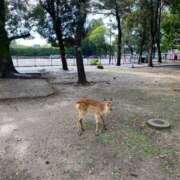 ヒメ日記 2025/07/26 16:07 投稿 らむ One More 奥様　五反田店