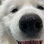 ヒメ日記 2025/07/30 21:57 投稿 らむ One More 奥様　五反田店