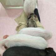 ヒメ日記 2025/08/10 09:33 投稿 らむ One More 奥様　五反田店