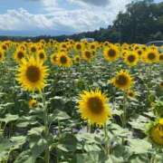 ヒメ日記 2025/08/15 11:17 投稿 らむ One More 奥様　五反田店