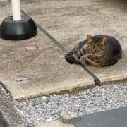 ヒメ日記 2025/10/06 20:14 投稿 らむ One More 奥様　五反田店