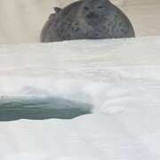 ヒメ日記 2025/10/09 03:37 投稿 らむ One More 奥様　五反田店