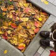 らむ またまた久しぶり( ^ω^ ) One More 奥様　五反田店