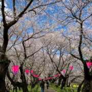 ヒメ日記 2026/04/02 20:27 投稿 らむ One More 奥様　五反田店