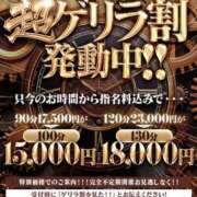 ヒメ日記 2026/04/03 09:57 投稿 らむ One More 奥様　五反田店