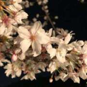 ヒメ日記 2025/09/18 01:47 投稿 まひる ばつぐん素人プロダクション