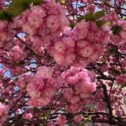 ヒメ日記 2025/10/02 03:06 投稿 まひる ばつぐん素人プロダクション