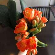 ヒメ日記 2025/10/06 02:08 投稿 まひる ばつぐん素人プロダクション