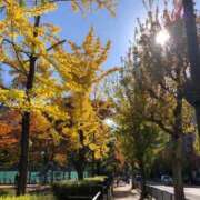 ヒメ日記 2025/11/22 01:38 投稿 まひる ばつぐん素人プロダクション