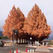 ヒメ日記 2025/12/18 01:06 投稿 まひる ばつぐん素人プロダクション