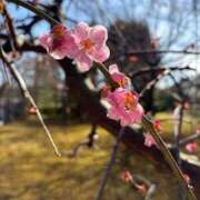 ヒメ日記 2026/03/19 10:53 投稿 まひる ばつぐん素人プロダクション