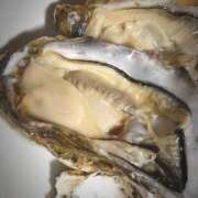 ヒメ日記 2025/07/29 20:47 投稿 みひろ 土浦ハッピーマットパラダイス