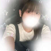 ヒメ日記 2025/06/27 21:53 投稿 しずく やんちゃな子猫日本橋本店