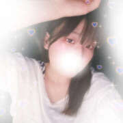 ヒメ日記 2025/06/28 11:11 投稿 しずく やんちゃな子猫日本橋本店