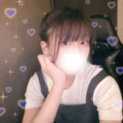 ヒメ日記 2025/07/01 17:24 投稿 しずく やんちゃな子猫日本橋本店