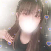 ヒメ日記 2025/07/05 14:26 投稿 しずく やんちゃな子猫日本橋本店