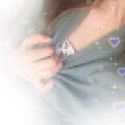 ヒメ日記 2025/07/11 18:02 投稿 しずく やんちゃな子猫日本橋本店