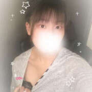 ヒメ日記 2025/07/28 14:34 投稿 しずく やんちゃな子猫日本橋本店