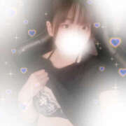 ヒメ日記 2025/07/29 12:16 投稿 しずく やんちゃな子猫日本橋本店