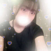 ヒメ日記 2025/07/31 11:18 投稿 しずく やんちゃな子猫日本橋本店