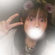 ヒメ日記 2025/08/05 12:14 投稿 しずく やんちゃな子猫日本橋本店