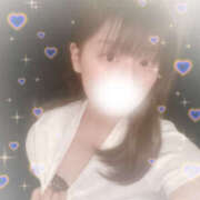 ヒメ日記 2025/08/11 18:18 投稿 しずく やんちゃな子猫日本橋本店