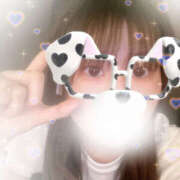 ヒメ日記 2025/08/18 14:42 投稿 しずく やんちゃな子猫日本橋本店