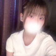 ヒメ日記 2025/08/23 17:21 投稿 しずく やんちゃな子猫日本橋本店