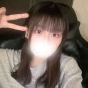 ヒメ日記 2025/08/27 14:53 投稿 しずく やんちゃな子猫日本橋本店