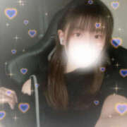 ヒメ日記 2025/08/29 14:12 投稿 しずく やんちゃな子猫日本橋本店