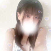 ヒメ日記 2025/08/30 13:43 投稿 しずく やんちゃな子猫日本橋本店