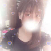 ヒメ日記 2025/09/07 12:13 投稿 しずく やんちゃな子猫日本橋本店