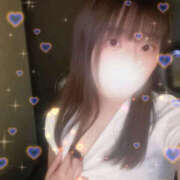 ヒメ日記 2025/09/08 12:23 投稿 しずく やんちゃな子猫日本橋本店