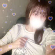 ヒメ日記 2025/09/12 10:28 投稿 しずく やんちゃな子猫日本橋本店