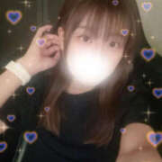 ヒメ日記 2025/09/19 12:15 投稿 しずく やんちゃな子猫日本橋本店