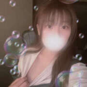 ヒメ日記 2025/09/21 12:15 投稿 しずく やんちゃな子猫日本橋本店