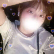 ヒメ日記 2025/09/24 15:42 投稿 しずく やんちゃな子猫日本橋本店