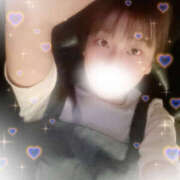 ヒメ日記 2025/09/26 17:37 投稿 しずく やんちゃな子猫日本橋本店