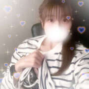 ヒメ日記 2025/09/29 16:54 投稿 しずく やんちゃな子猫日本橋本店