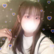 ヒメ日記 2025/09/30 17:00 投稿 しずく やんちゃな子猫日本橋本店