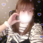 ヒメ日記 2025/10/03 16:09 投稿 しずく やんちゃな子猫日本橋本店