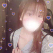 ヒメ日記 2025/10/09 17:40 投稿 しずく やんちゃな子猫日本橋本店