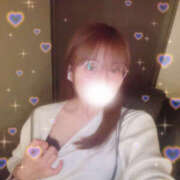 ヒメ日記 2025/10/11 15:23 投稿 しずく やんちゃな子猫日本橋本店